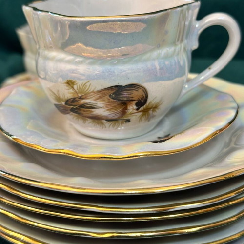 Soviet Birds Korosten Porcelain Set like new for 5 persons