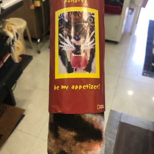 National Geographic beach towel new