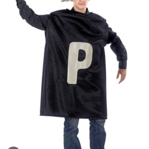 Salt and pepper carnival costumes like new, set of 2