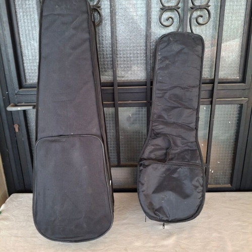 Violin case rectangular and mandolin gig bag used