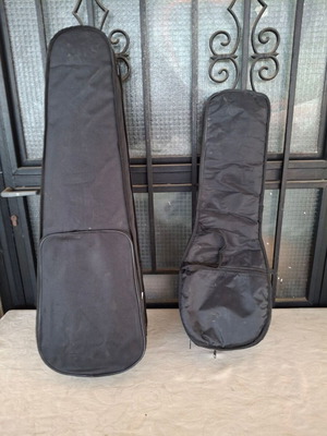 Violin case rectangular and mandolin gig bag used