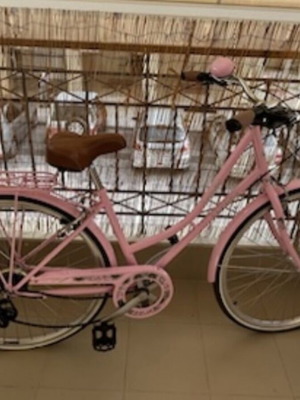 Cambridge Energy pink city bike, vintage style