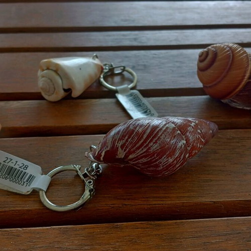 Keychain set of 4 new with seashells