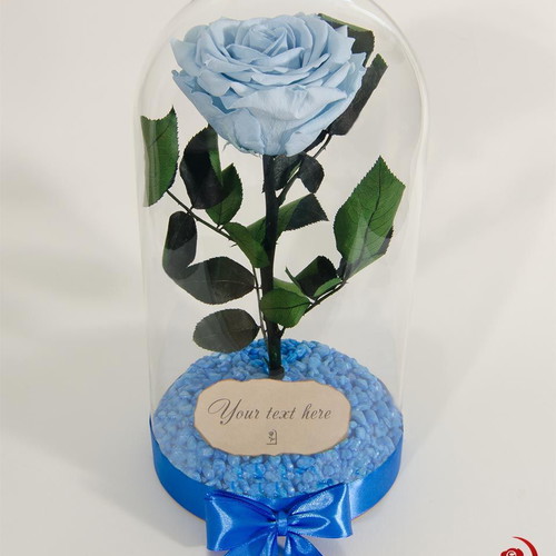 Light Blue Eternal Rose in Glass Dome made to order
