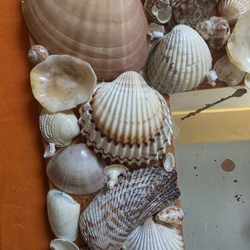 Small decorative mirror with seashells like new