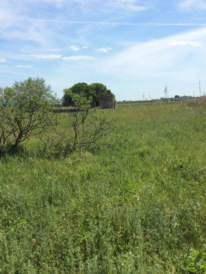 Agricultural land 3.4 acres in Roditsa Lamia, productive with view