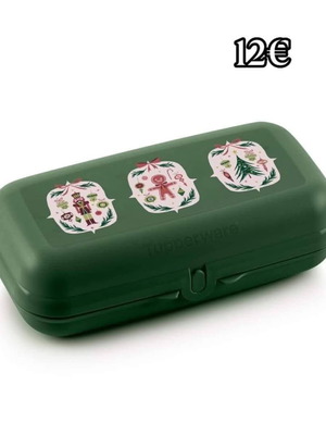 Twin large multipurpose container new