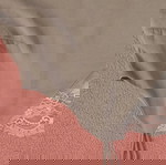  Lingerie χακί τοπ