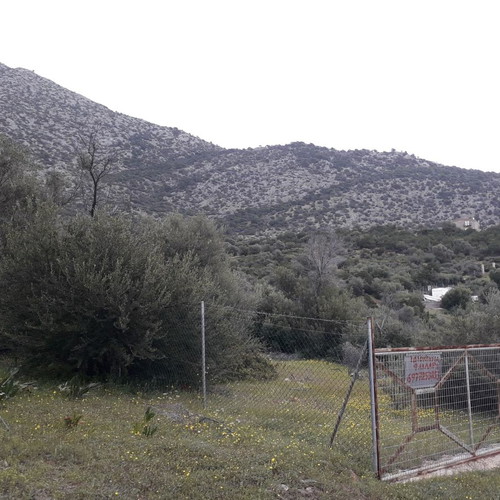 Land in Aliki, Boeotia