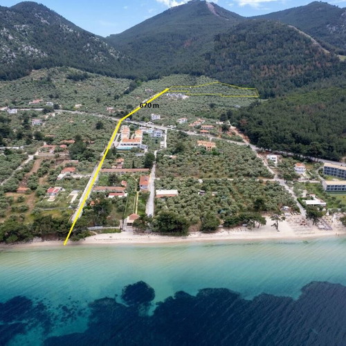 Olive Grove 17.1 stremmas with 360 trees, sea view, buildable land