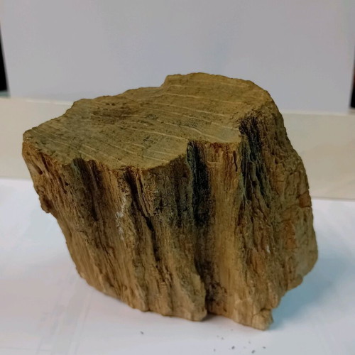 Petrified wood used, 550 grams