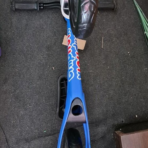 Royal Baby balance bike for children