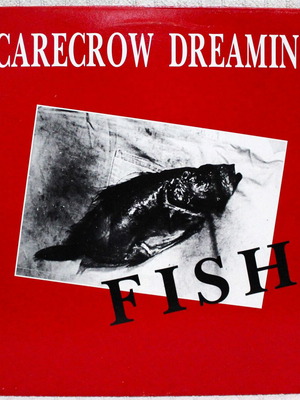Scarecrow Dreaming Fish vinyl LP album used, rock