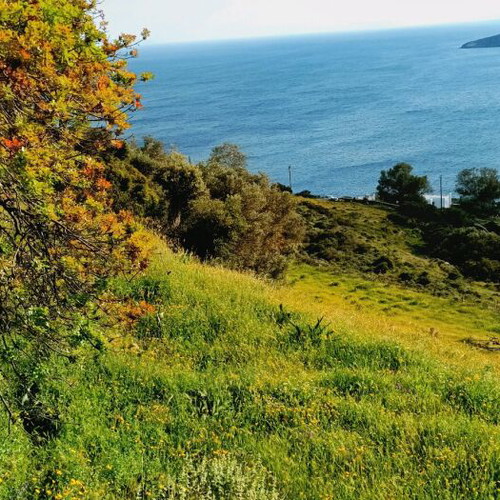 Andros Land Plots 4 Stremmata with Spring and View, Buildable