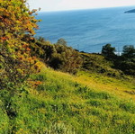 Andros Land Plots 4 Stremmata with Spring and View, Buildable