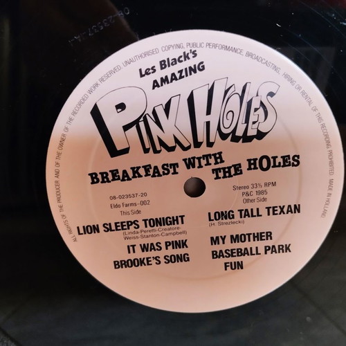 Pink Holes Breakfast With The Holes 1985 vinyl record used, punk rock