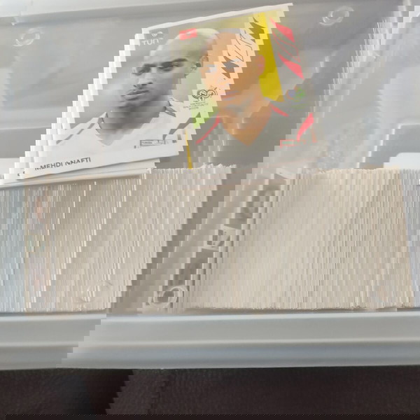  200 diaforetika World Cup 2006 aftokollita Panini