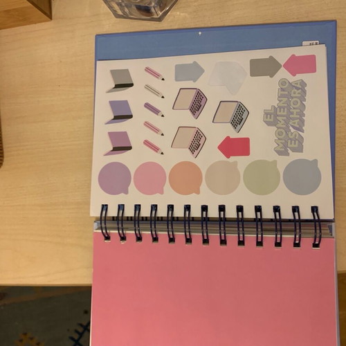 Tiger Agenda Planner like new missing some months and stickers