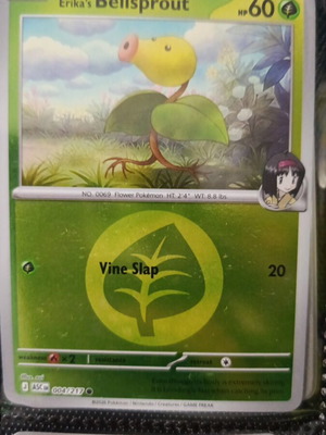 Ascended Heroes Pokémon Card like new, symbol 004