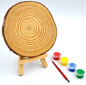 Κορμός ξύλινος με 4 χρώματα και βάση