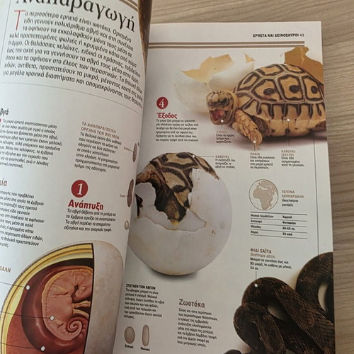 Atlas of Sciences: Reptiles and Dinosaurs like new, Greek