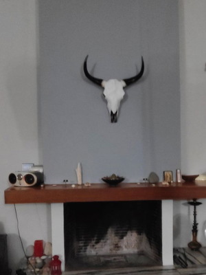 Διακοσμητικό Κεφάλι Ταύρου Replica Καινούργιο Μέγεθος 70 Εκατοστά