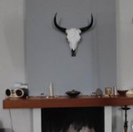Διακοσμητικό Κεφάλι Ταύρου Replica Καινούργιο Μέγεθος 70 Εκατοστά