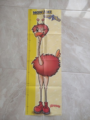 Strousy height chart used, paper, 98cm x 32cm
