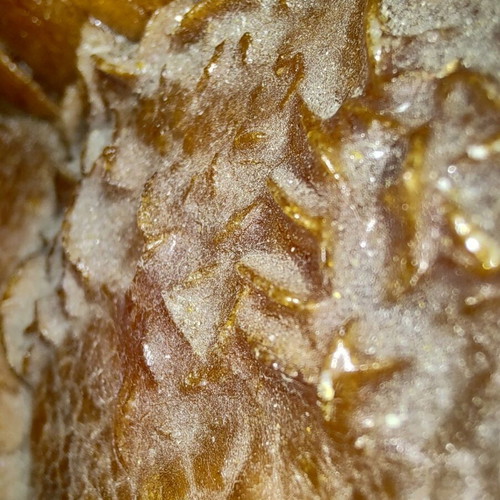 Sea amber like new