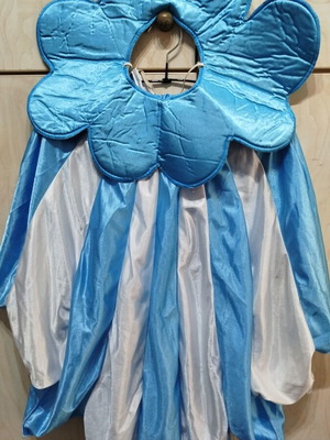 Carnival costume N6 like new with daisy hat