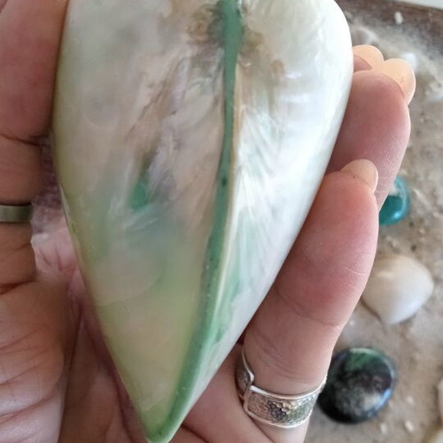Mother of Pearl Collectible Freshwater Mussel Shell new, 6cm