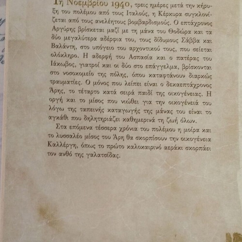 The Olive Groves of Berlin book like new