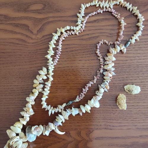 Sea shell jewelry set used, handmade, beige