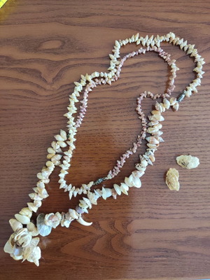 Sea shell jewelry set used, handmade, beige