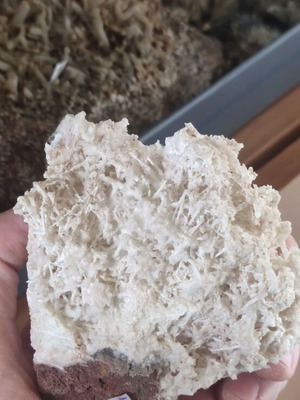 Aragonite new from Lavrio