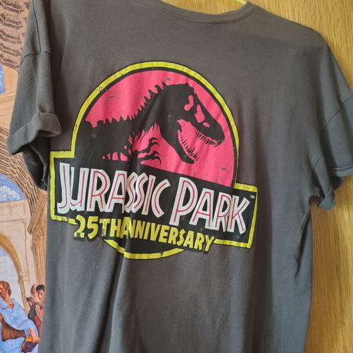 Jurassic Park T-shirt, Bershka, size S, grey
