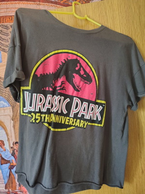 Jurassic Park T-shirt, Bershka, size S, grey