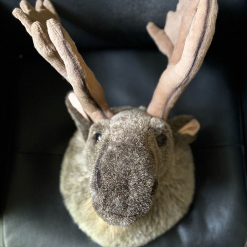Plush reindeer head decorative like new