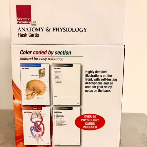 Anatomy & Physiology Flash Cards like new, Scientific Publishing