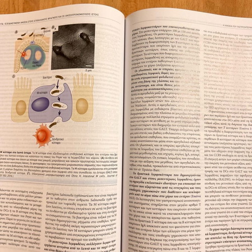 Cellular and Molecular Immunology used