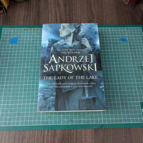 The Lady of the Lake by Andrzej Sapkowski used, English