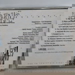  ΠΑΡΑΔΟΣΙΑΚΕΣ ΠΙΝΕΛΙΕΣ CD ΡΕΜΠΕΤΙΚΟ