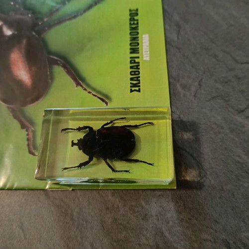 Alithina Zofyia issue 32 used