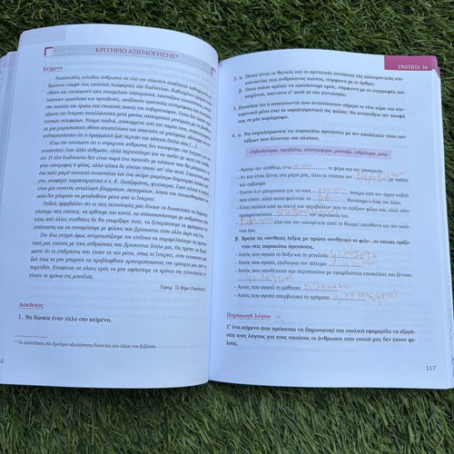 Ektheseis Methodology and Technique in Speech Production B' Gymnasio Used