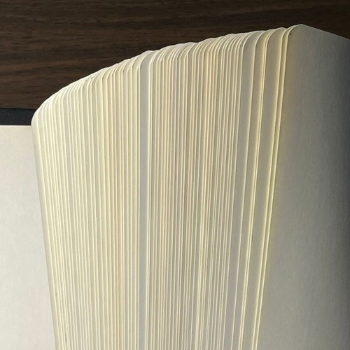 Lighthouse Album with 59 Presentation Sheets for German Stamps like new