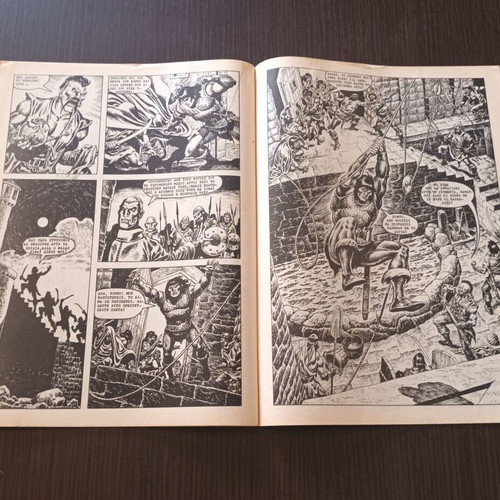 Conan 13 Cobra Press comic used, large format