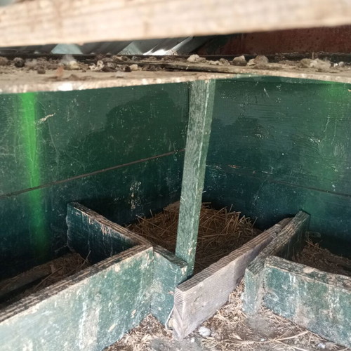 Mobile chicken coop used with automatic timer door