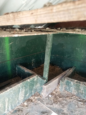 Mobile chicken coop used with automatic timer door