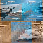 VCD DISCOVERY CHANNEL