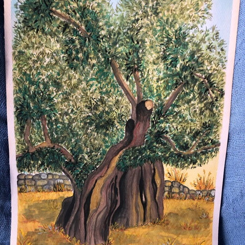 Olive tree watercolours painting new, decoration or gift